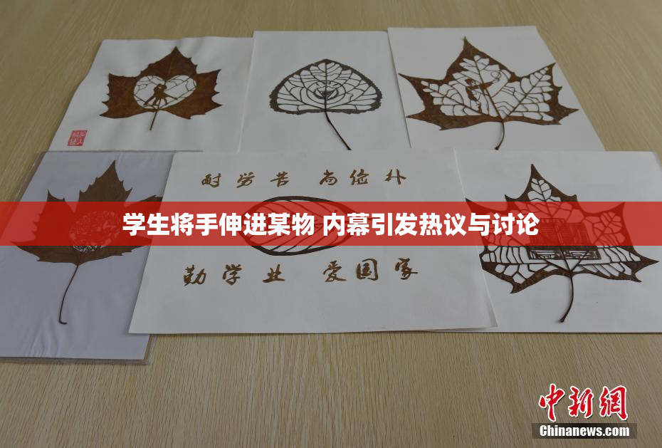 学生将手伸进某物 内幕引发热议与讨论