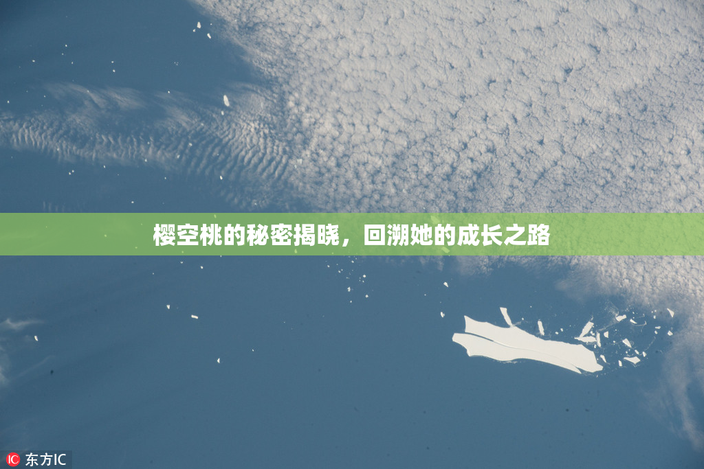 樱空桃的秘密揭晓，回溯她的成长之路