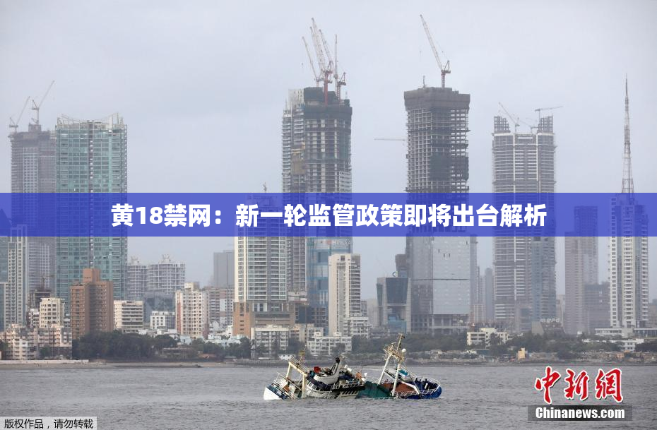 黄18禁网：新一轮监管政策即将出台解析
