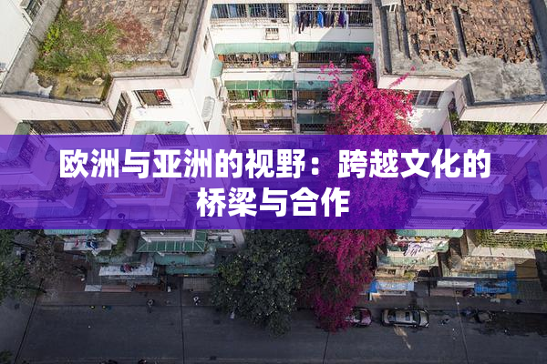 欧洲与亚洲的视野：跨越文化的桥梁与合作