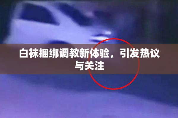 白袜捆绑调教新体验，引发热议与关注