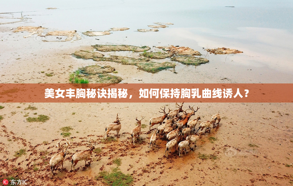 美女丰胸秘诀揭秘，如何保持胸乳曲线诱人？