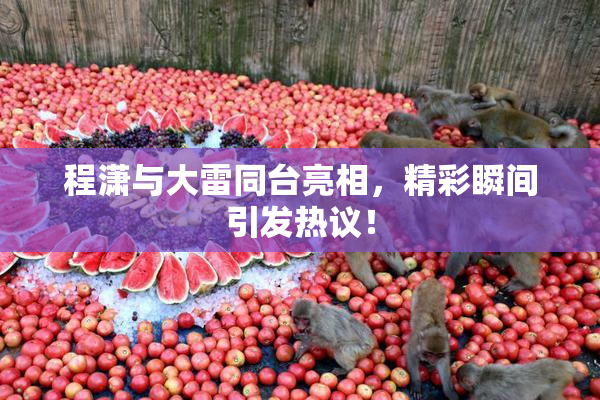 程潇与大雷同台亮相，精彩瞬间引发热议！