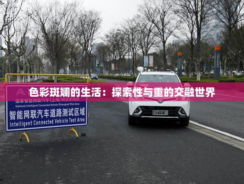 色彩斑斓的生活：探索性与重的交融世界