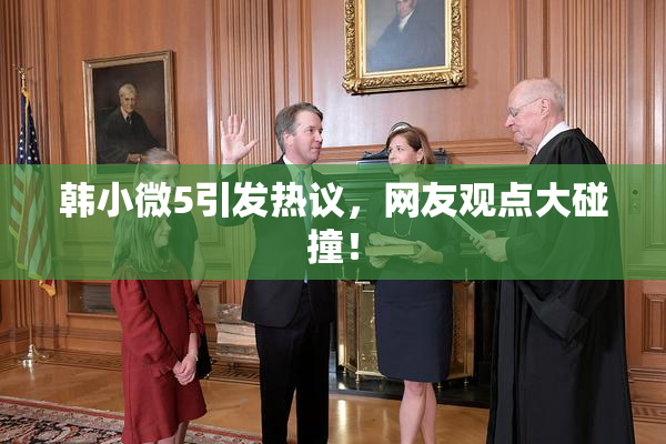 韩小微5引发热议，网友观点大碰撞！