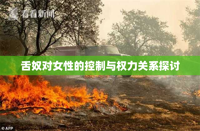舌奴对女性的控制与权力关系探讨