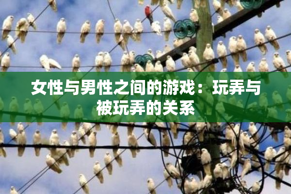 女性与男性之间的游戏：玩弄与被玩弄的关系