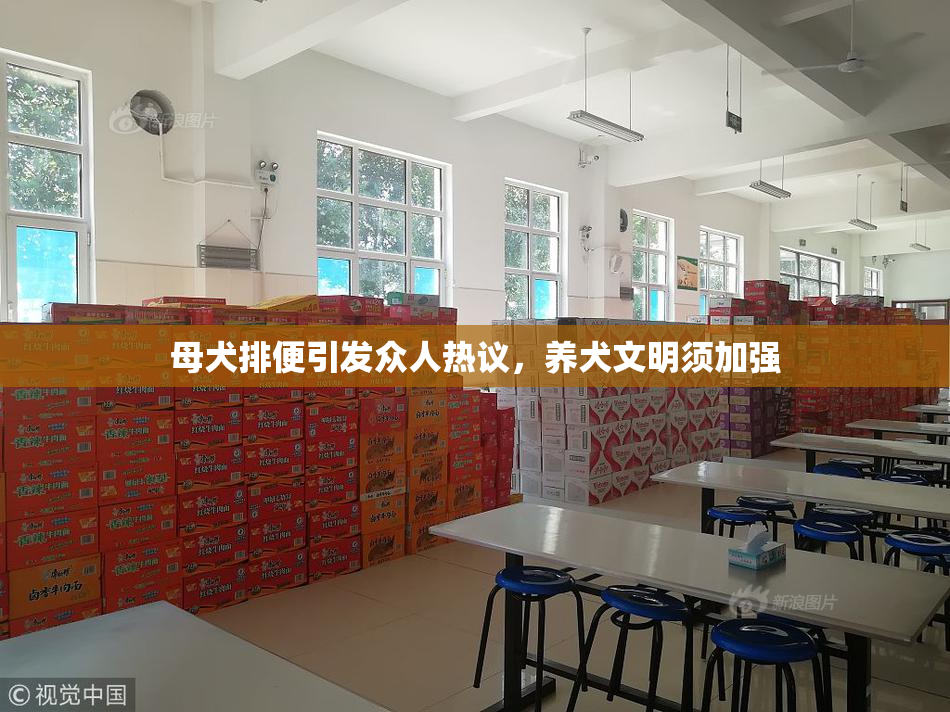 母犬排便引发众人热议，养犬文明须加强