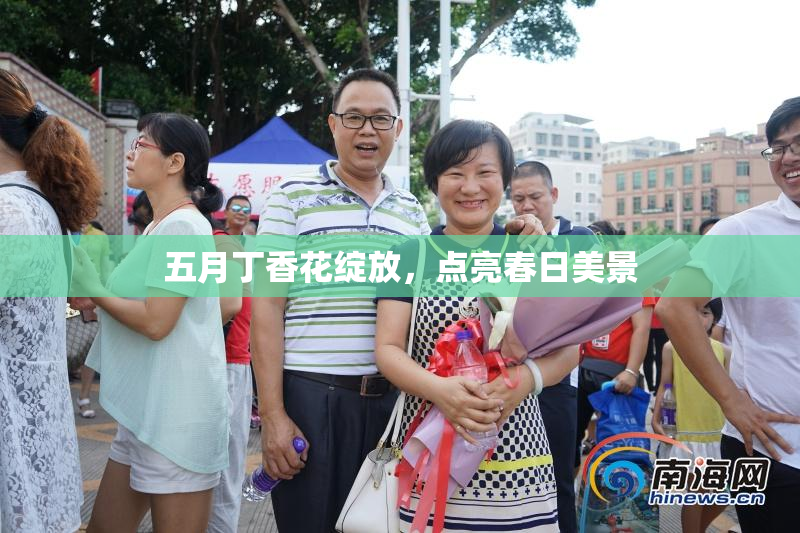 五月丁香花绽放，点亮春日美景