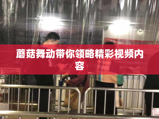 蘑菇舞动带你领略精彩视频内容
