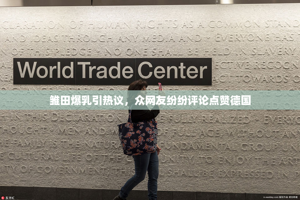 雏田爆乳引热议，众网友纷纷评论点赞德国