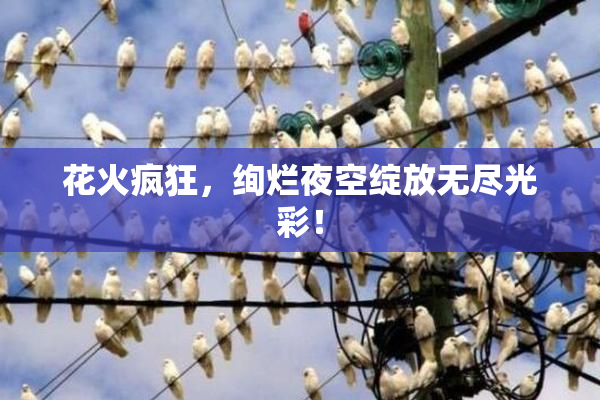 花火疯狂，绚烂夜空绽放无尽光彩！