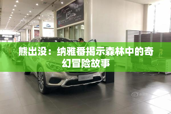 熊出没：纳雅番揭示森林中的奇幻冒险故事