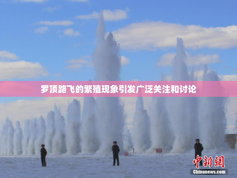 罗顶路飞的繁殖现象引发广泛关注和讨论
