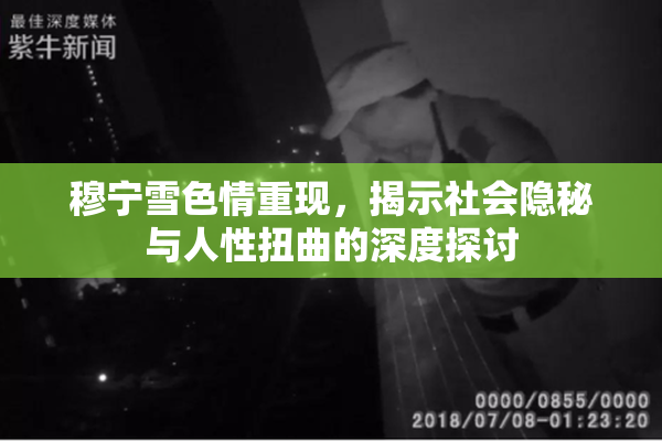 穆宁雪色情重现，揭示社会隐秘与人性扭曲的深度探讨