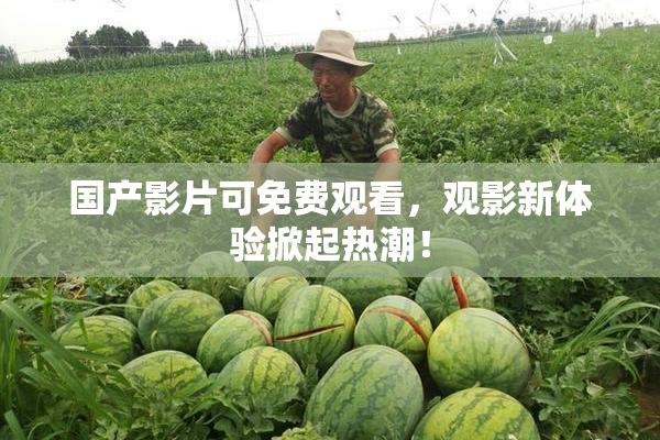 国产影片可免费观看，观影新体验掀起热潮！