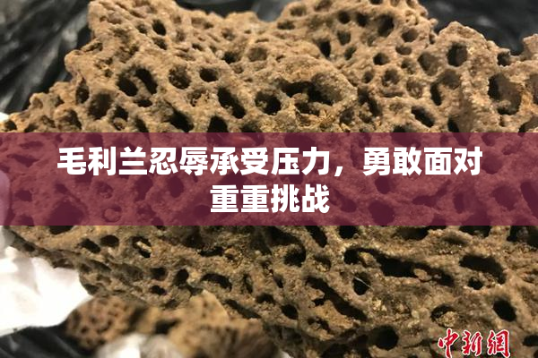 毛利兰忍辱承受压力，勇敢面对重重挑战