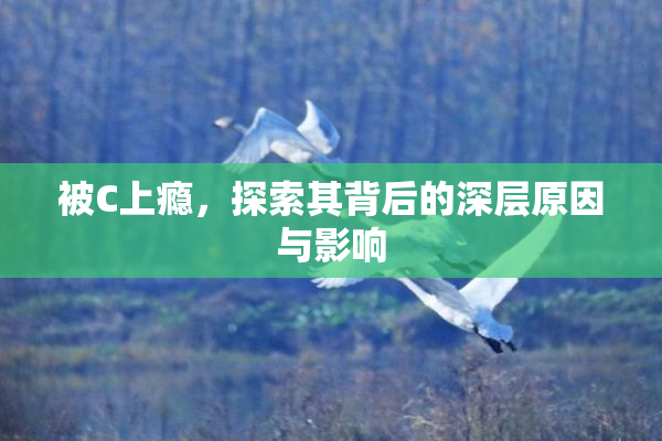 被C上瘾，探索其背后的深层原因与影响