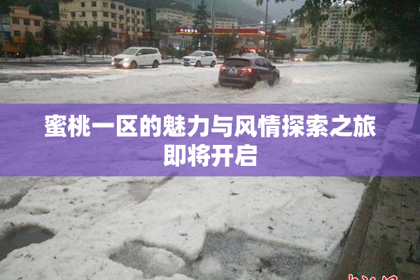 蜜桃一区的魅力与风情探索之旅即将开启