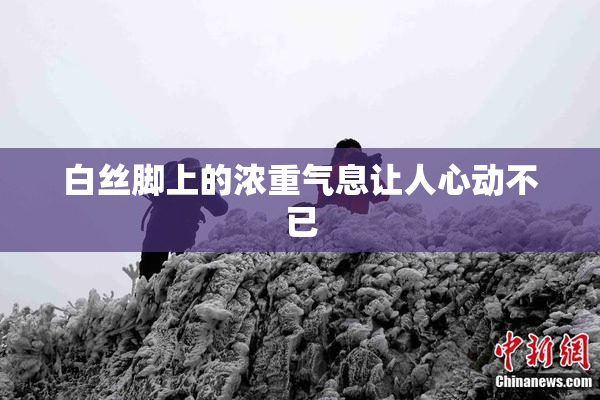 白丝脚上的浓重气息让人心动不已