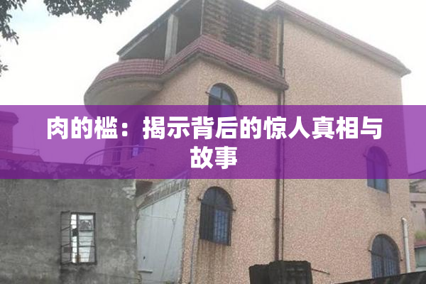 肉的槛：揭示背后的惊人真相与故事