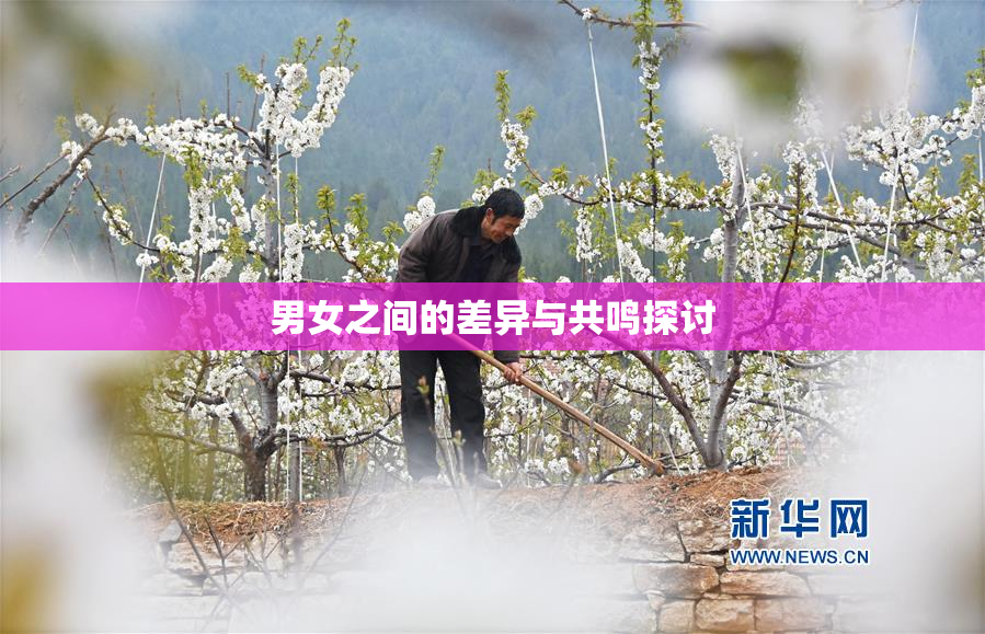 男女之间的差异与共鸣探讨