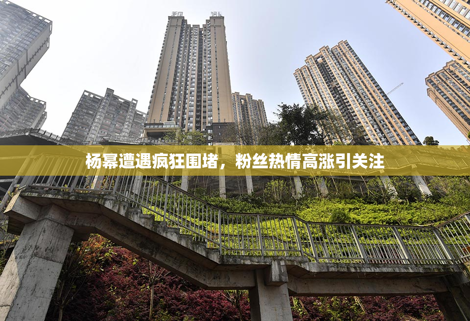 杨幂遭遇疯狂围堵，粉丝热情高涨引关注