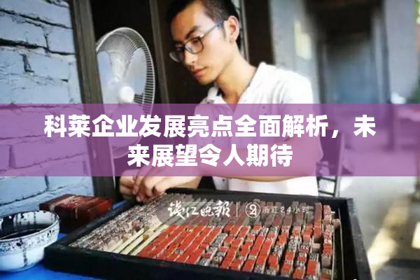 科莱企业发展亮点全面解析，未来展望令人期待