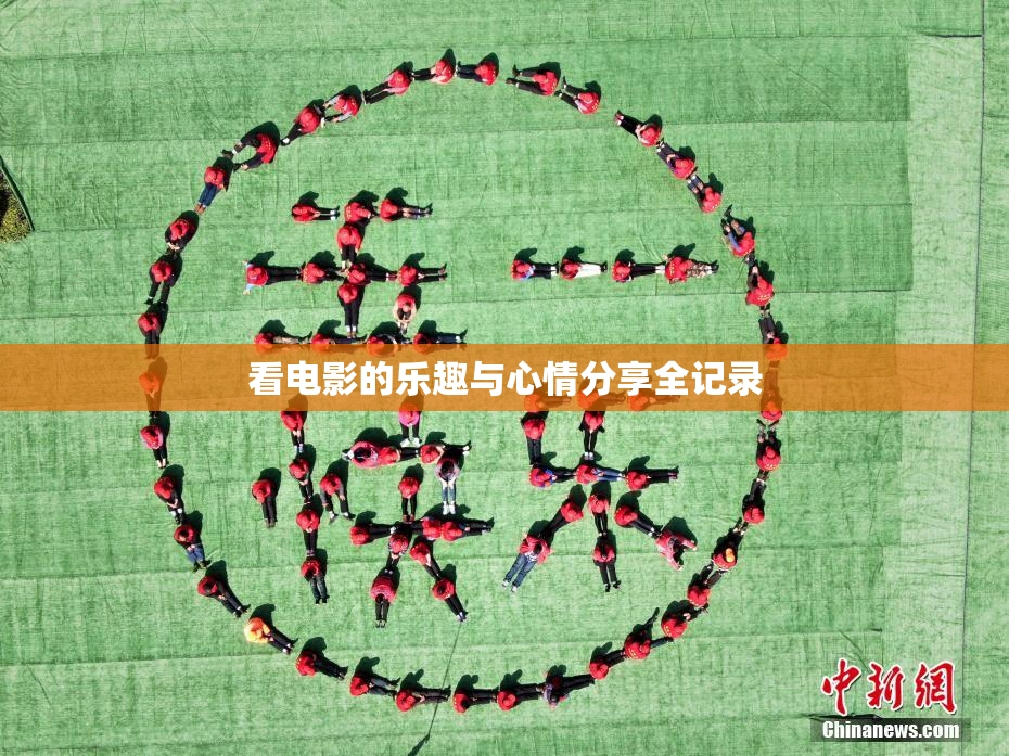 看电影的乐趣与心情分享全记录