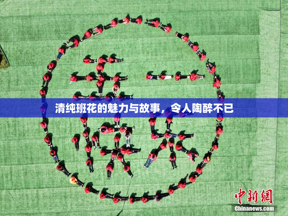 清纯班花的魅力与故事，令人陶醉不已