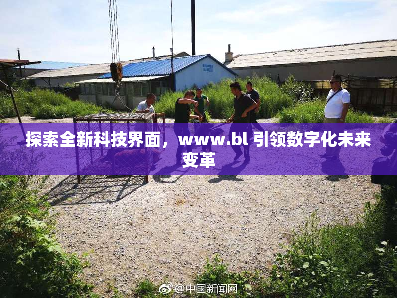 探索全新科技界面，www.bl 引领数字化未来变革