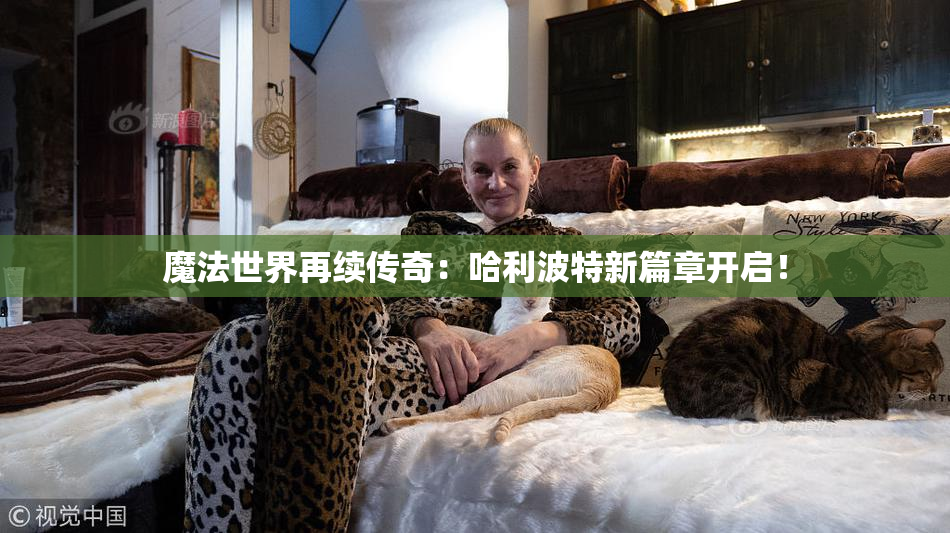 魔法世界再续传奇：哈利波特新篇章开启！