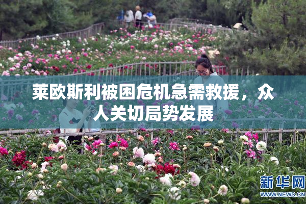 莱欧斯利被困危机急需救援，众人关切局势发展