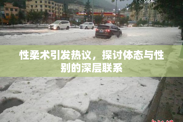 性柔术引发热议，探讨体态与性别的深层联系