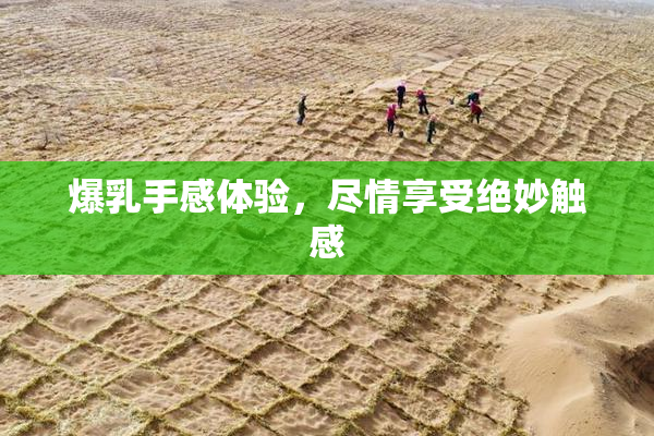 爆乳手感体验，尽情享受绝妙触感