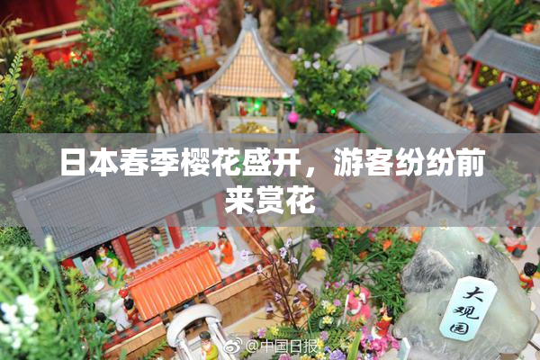 日本春季樱花盛开，游客纷纷前来赏花