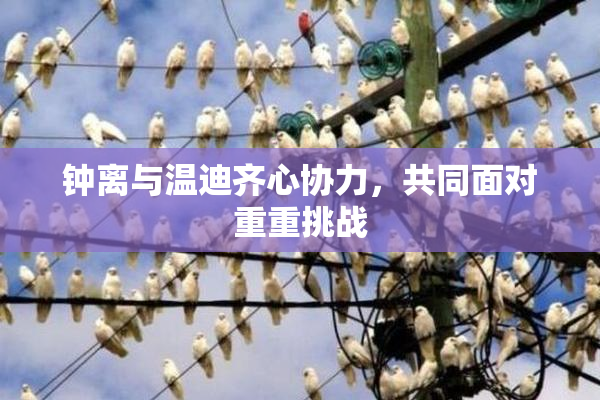 钟离与温迪齐心协力，共同面对重重挑战