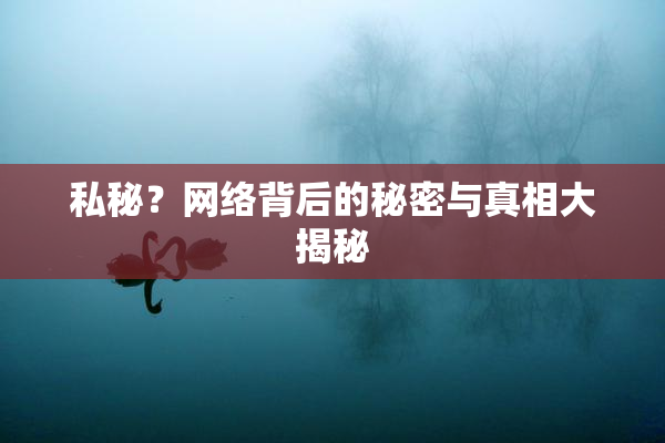 私秘？网络背后的秘密与真相大揭秘