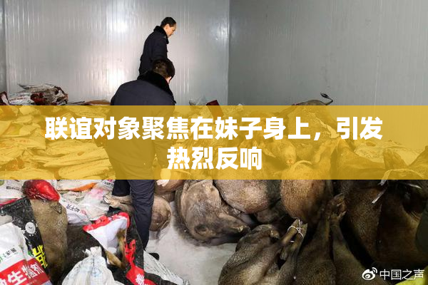 联谊对象聚焦在妹子身上，引发热烈反响