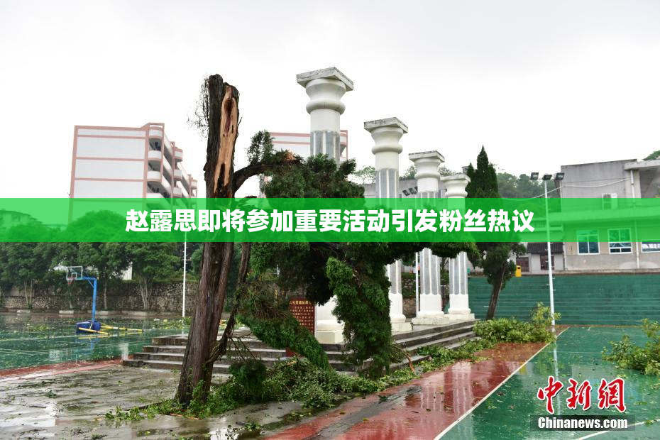 赵露思即将参加重要活动引发粉丝热议