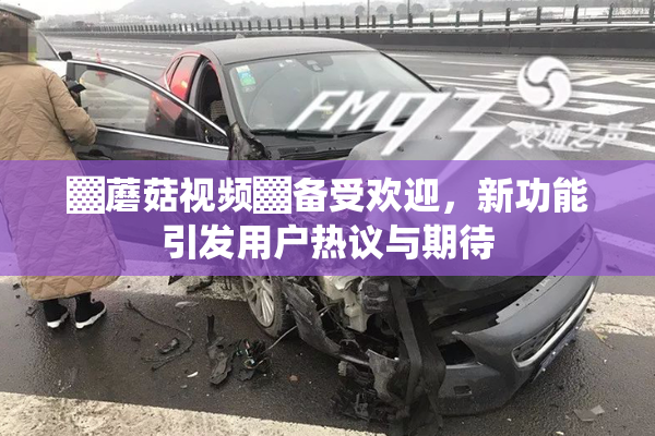 ▓蘑菇视频▓备受欢迎，新功能引发用户热议与期待