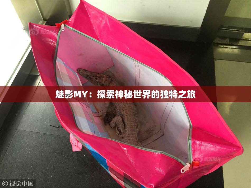魅影MY：探索神秘世界的独特之旅