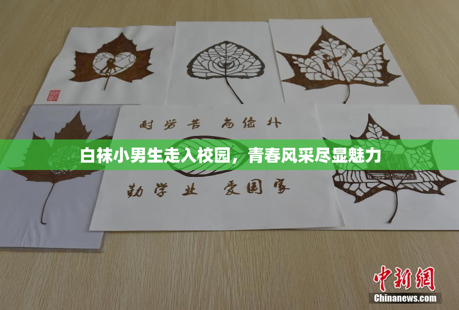 白袜小男生走入校园，青春风采尽显魅力