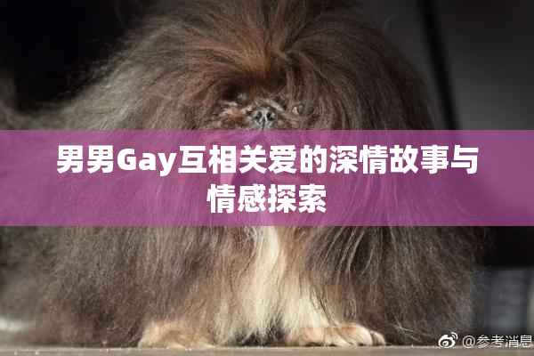 男男Gay互相关爱的深情故事与情感探索