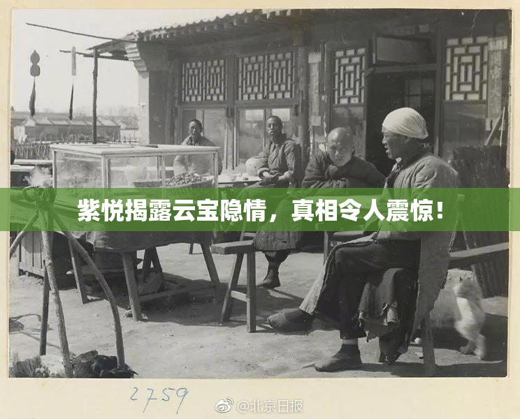 紫悦揭露云宝隐情，真相令人震惊！