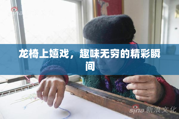 龙椅上嬉戏，趣味无穷的精彩瞬间