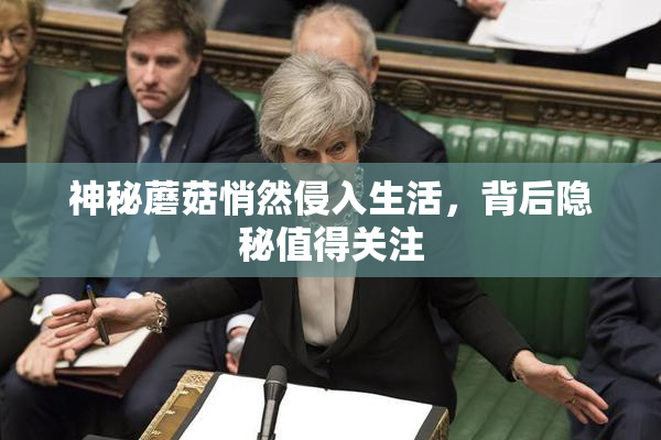 神秘蘑菇悄然侵入生活，背后隐秘值得关注