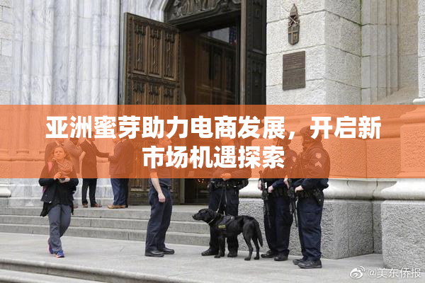 亚洲蜜芽助力电商发展，开启新市场机遇探索