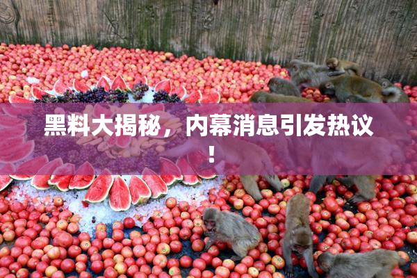 黑料大揭秘，内幕消息引发热议！