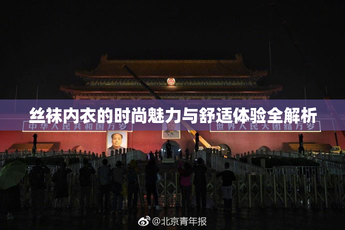 丝袜内衣的时尚魅力与舒适体验全解析